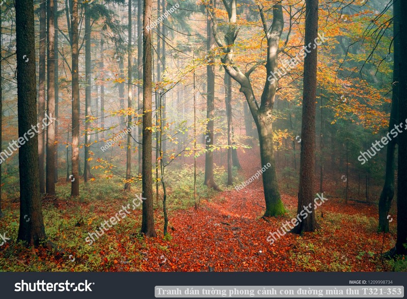 Tranh dán tường phong cảnh con đường mùa thu T321-353